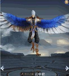 云中君最新爆料视频,神秘事件背后的惊人真相